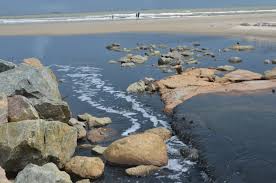 Ideologia e Privatização