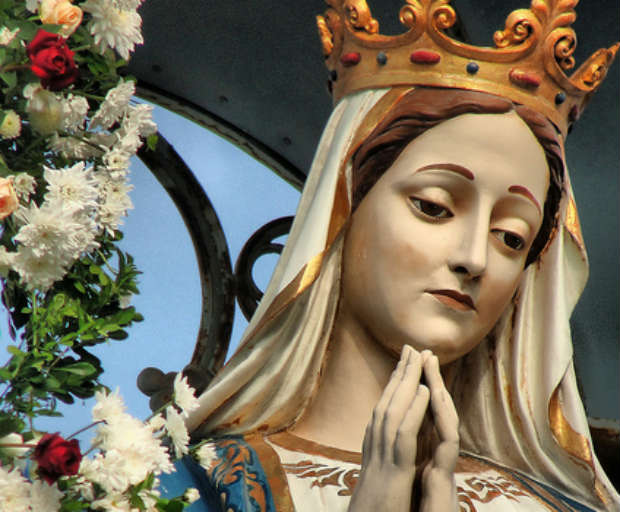 Preparando votos de Feliz Natal. Viva Nossa Senhora da Conceição!