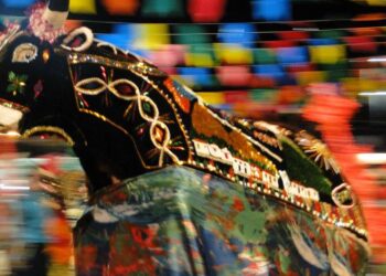 Coluna Vanessa Serra