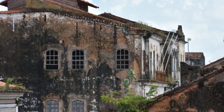 As aves que gorjeiam lá e aqui!