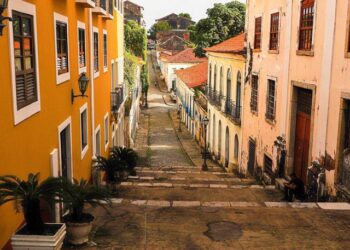 Coluna Vanessa Serra