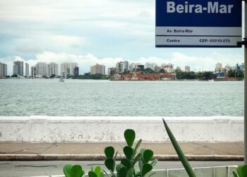 Coluna Vanessa Serra