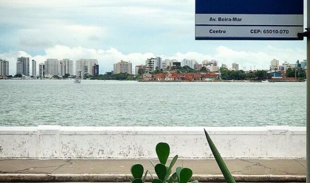 Coluna Vanessa Serra