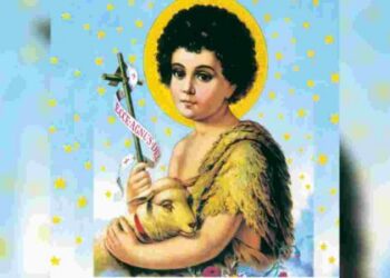 Coluna Vanessa Serra