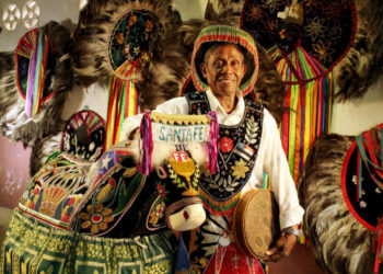 Coluna Vanessa Serra