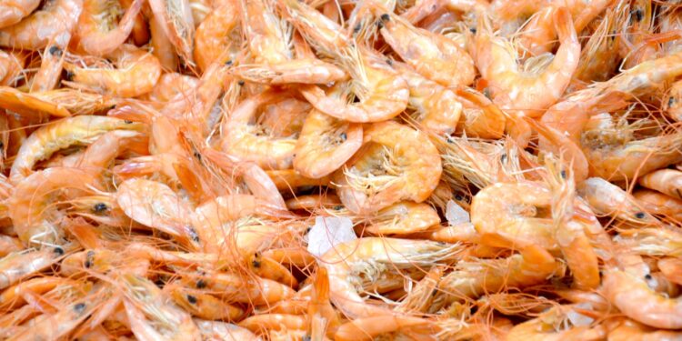 Camarão na Feira da Praia Grande - Foto: Gutemberg Bogéa