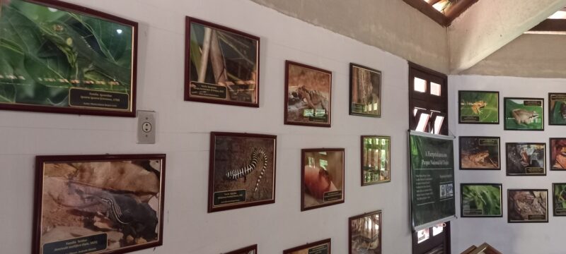 A diversidade da fauna e flora existente no Parque – Foto: Gutemberg Bogéa