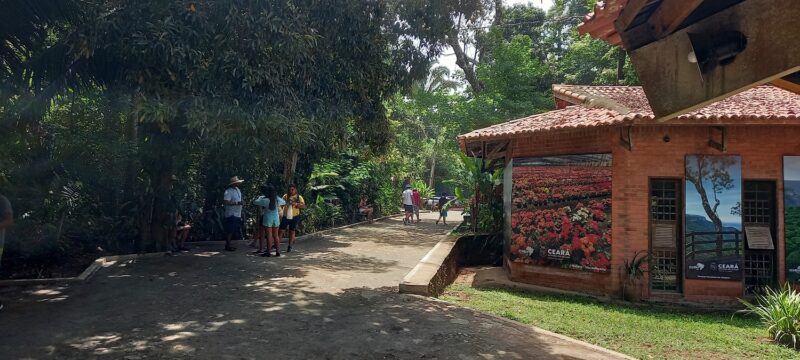 Um ambiente em constante fluxo de visitantes coberto pela verde da natureza - foto: Gutemberg Bogéa