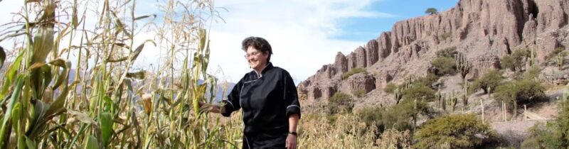 A chef Mariana Garcia del Rio busca na natureza inspirações para suas experiências gastronômicas. No detalhe as plantações de milho da região de Jujuy - Foto: Divulgação