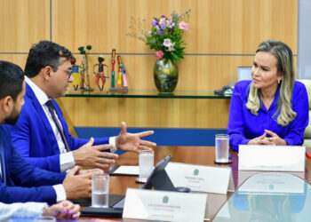 Ministra Daniela Carneiro durante reunião com o governador do Amazonas, Wilson Lima – Foto: Pedro França