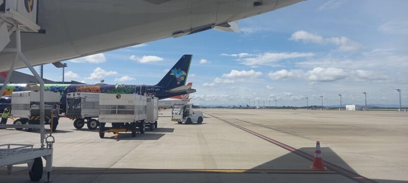 A Azul Linhas Aéreas se prepara para alta temporada com novas rotas - Foto: Gutemberg Bogéa