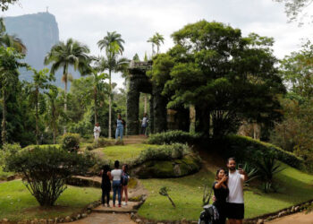 Jardim Botânico do Rio de Janeiro – Foto: Fernando Frazão