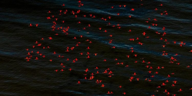 Rotas Brasileiras reúne produção de todo o país