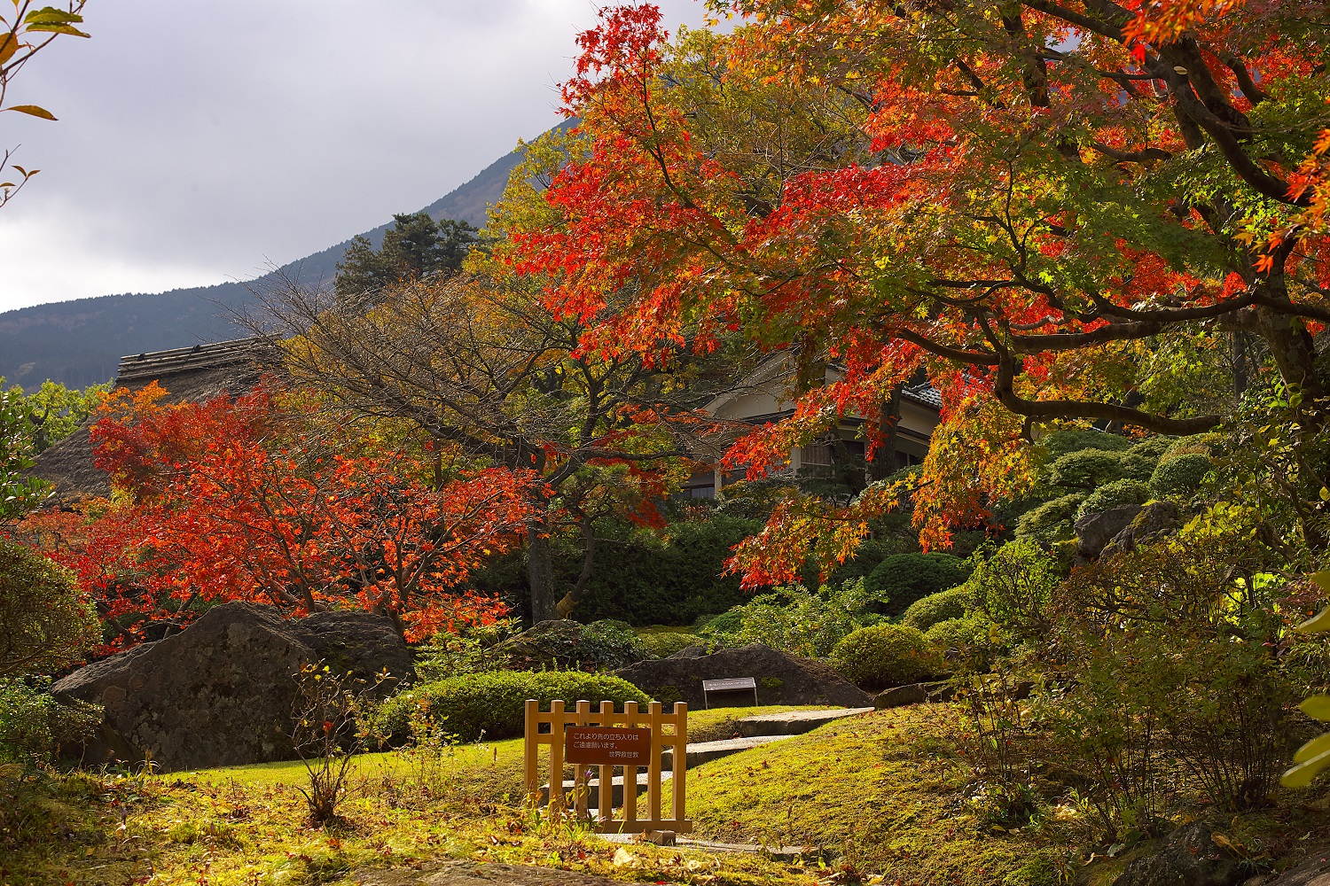 Jardins do Museu Hakone – Divulgação