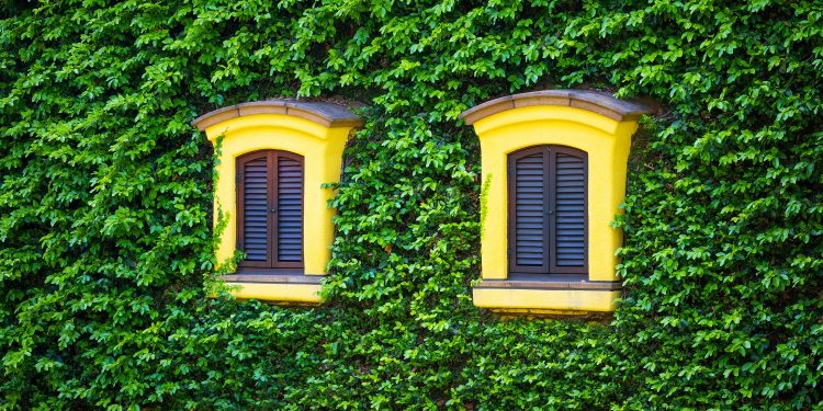 Quickly Travel dá dicas de programas no Japão nas mini-férias de Outubro