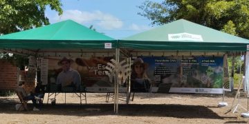 A Expocapril é uma oportunidade para pequenos produtores da região na exposição e comercialização de seus animais - Foto: Divulgação