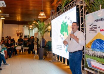 Circuito Nelore de Qualidade Premia Maranhenses