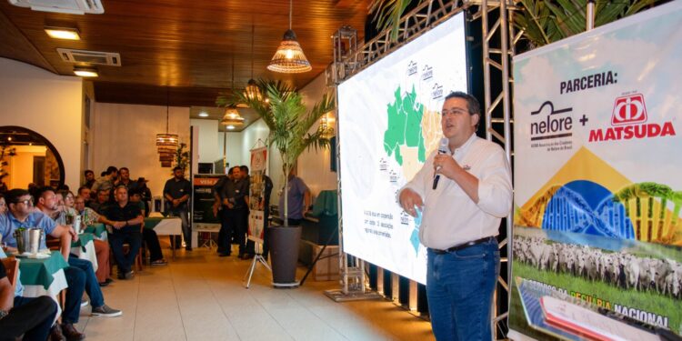 Circuito Nelore de Qualidade Premia Maranhenses