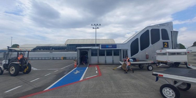 Mulheres desempenhando papéis essenciais para o pleno funcionamento do terminal - Foto: Gutemberg Bogéa