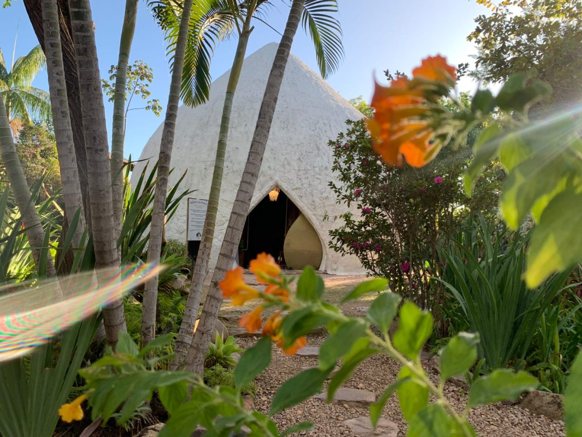 A Gota Sat Som oferece concertos e terapia pela sonoridades – Foto: Divulgação