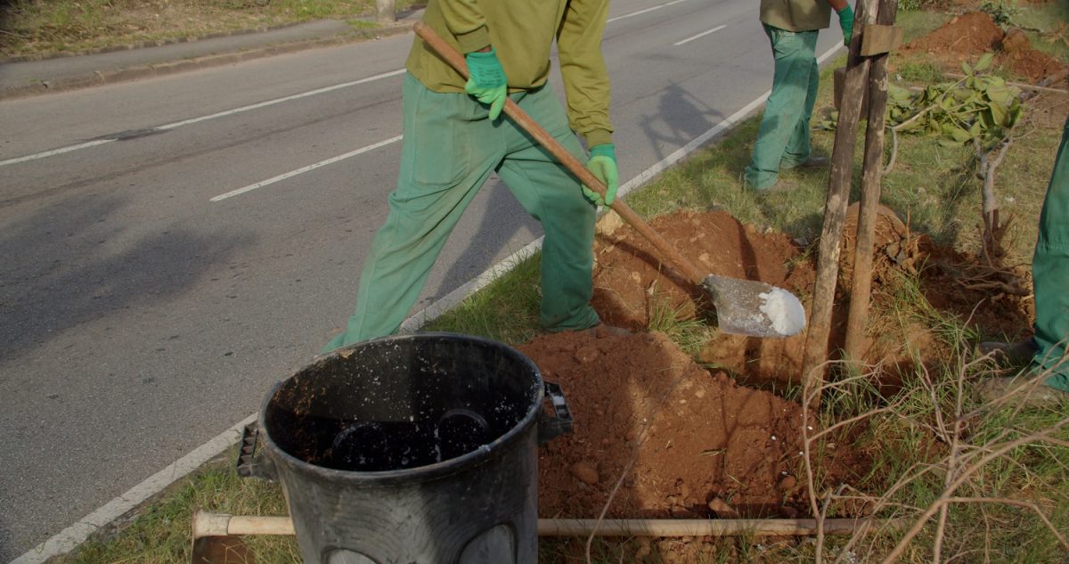 Serviço a todo vapor para compensação ambiental - Foto: Divulgação  