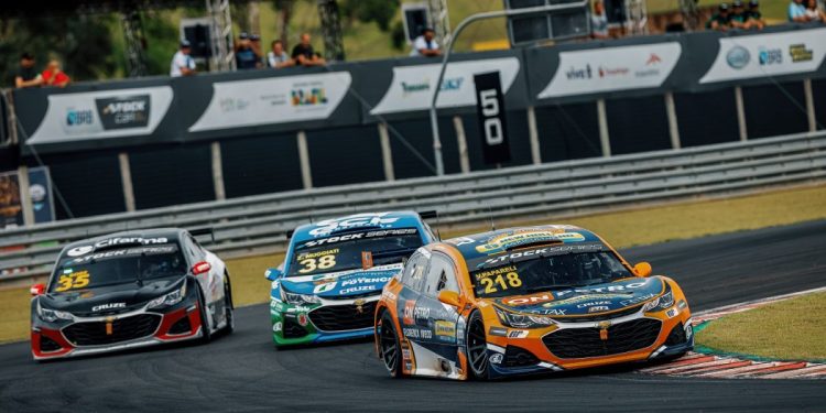 Cerca de 2000 plantios estão sendo feitos em compensação às 63 supressões necessárias para a adequação do circuito - Foto: Divulgação