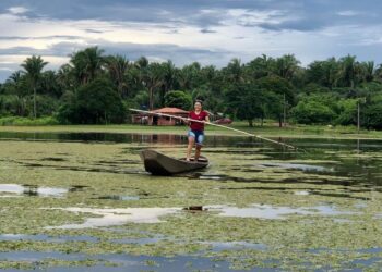 Os campos alagados de dezembro a julho, época de chuvas, restando ilhas de terras firmes e áreas de campos – Foto: @malapronta