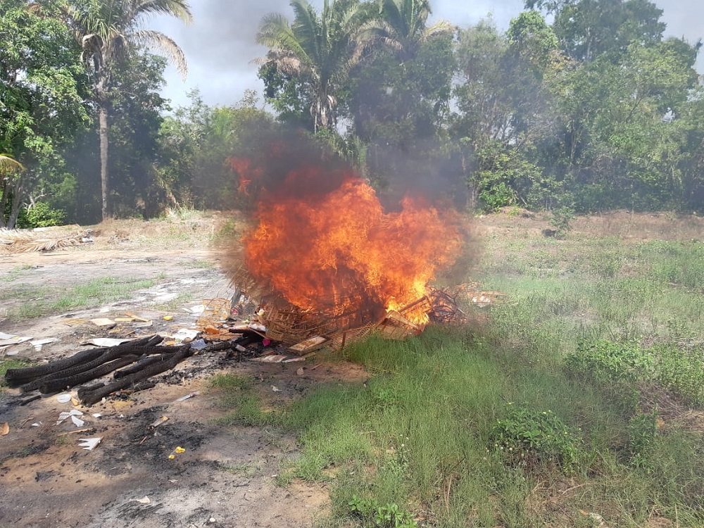 Gaiolas de pássaros apreendidas durante a operação Uirapuru, realizada pela PRF no Maranhão, são destruídas para combater o tráfico ilegal de animais na região - Foto: PRF/MA