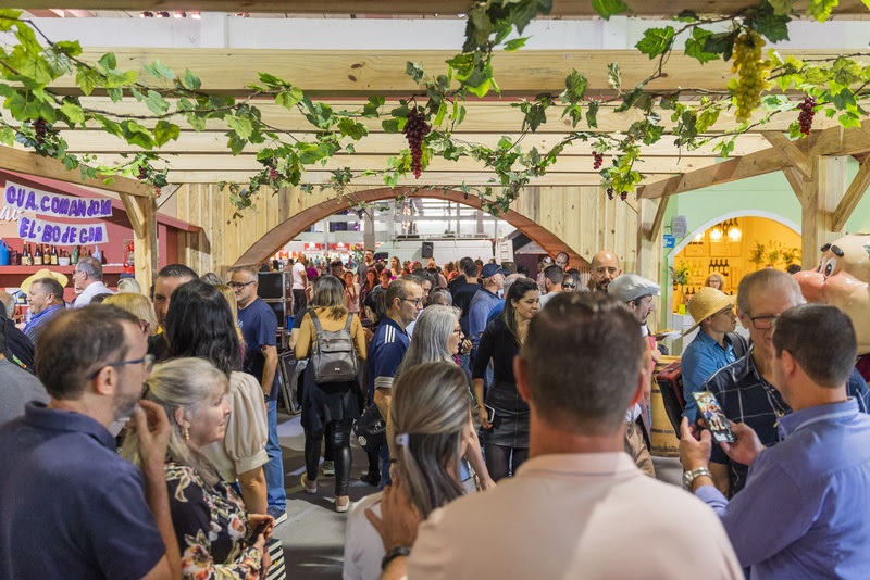 A Fenavinho reúne o melhor das vinícolas nacionais, na festa do vinho brasileiro – Foto: Divulgação