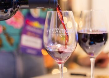 Fenavinho evidencia as vinícolas nacionais