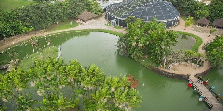 Mangal das Garças, um parque ecológico que reserva um cenário típico da Floresta Amazônica – Foto: Bruna Brandão