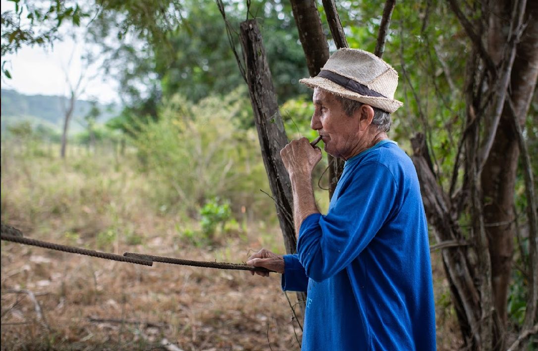 Os amantes do cinema poderão desfrutar de uma variedade de obras que remetem à cultura e identidade regionais até a descoberta de um novo olhar para a própria vida – Foto: Divulgação