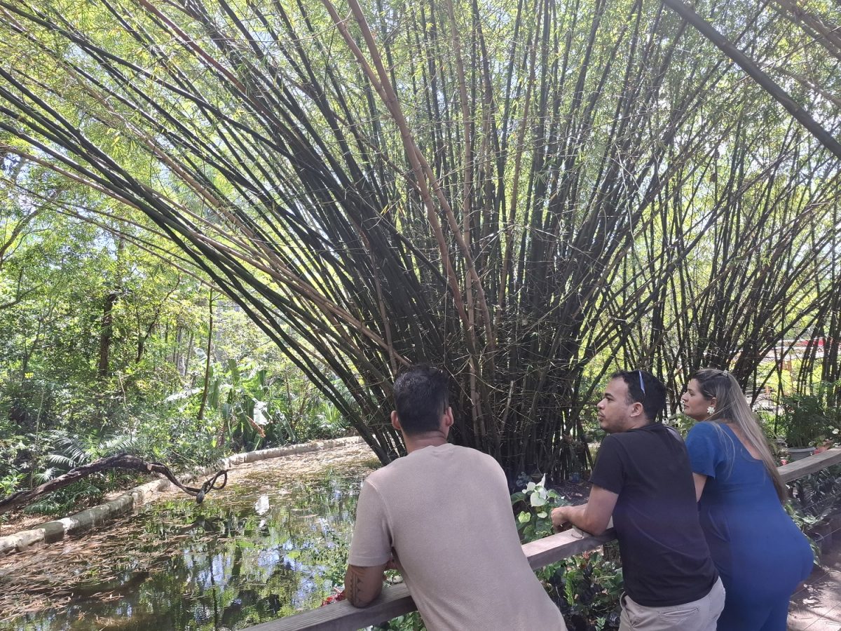 Valparaíso investe em novos espaços e equipamentos, primando pelo crescimento sustentável - Foto: Gutemberg Bogéa