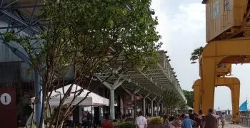 Experiências turísticas em série de vídeos da cultura e atmosfera paraense