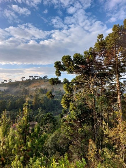 Passeio proporciona contato com natureza deslumbrante - Foto: Divulgação