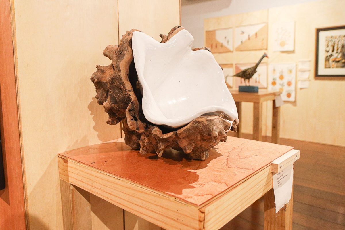 Exposição reúne produção contemporânea de artistas nordestinos, deMinas Gerais e do Espírito Santo - Foto: Divulgação