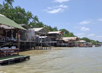 Rota turística cervejeira entre as ilhas paraenses em meio a natureza - Foto: Gutemberg Bogéa