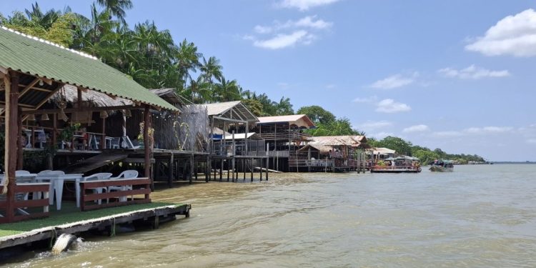 Rota turística cervejeira entre as ilhas paraenses em meio a natureza - Foto: Gutemberg Bogéa
