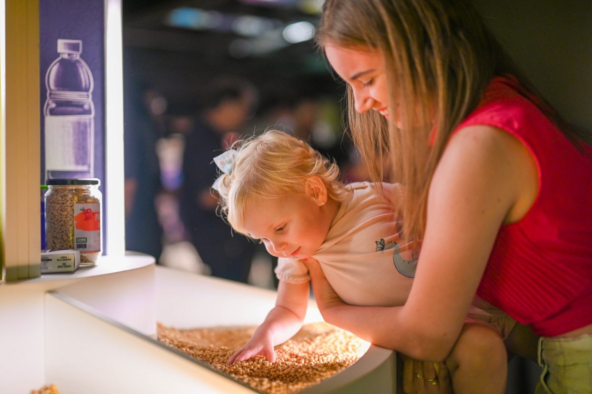 Experiência sensorial com os grãos de soja na exposição de longa duração do MEA - Memorial da Evolução Agrícola - Foto: Betina Cesa