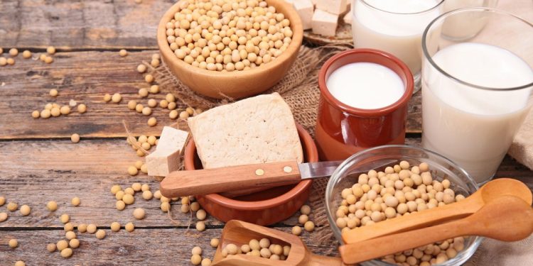 Diversos alimentos são produzidos a partir da soja, como queijo e leite - Foto: Divulgação