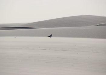 Lençóis Maranhenses conquistando cada vez mais o mercado internacional - Foto: Divulgação