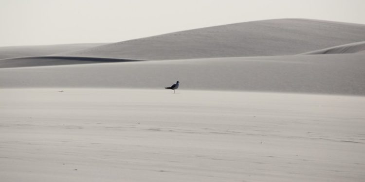 Lençóis Maranhenses conquistando cada vez mais o mercado internacional - Foto: Divulgação