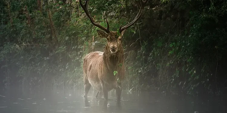 A natureza proporcionando imagens únicas - Foto: Michelellluzi