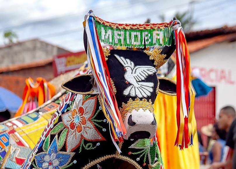 O bumba-meu-boi como uma das principais manifestações culturais do município, sendo seus principais representantes o Boi da Maioba, o Boi da Pindoba e o Boi de Iguaíba – Foto: Divulgação