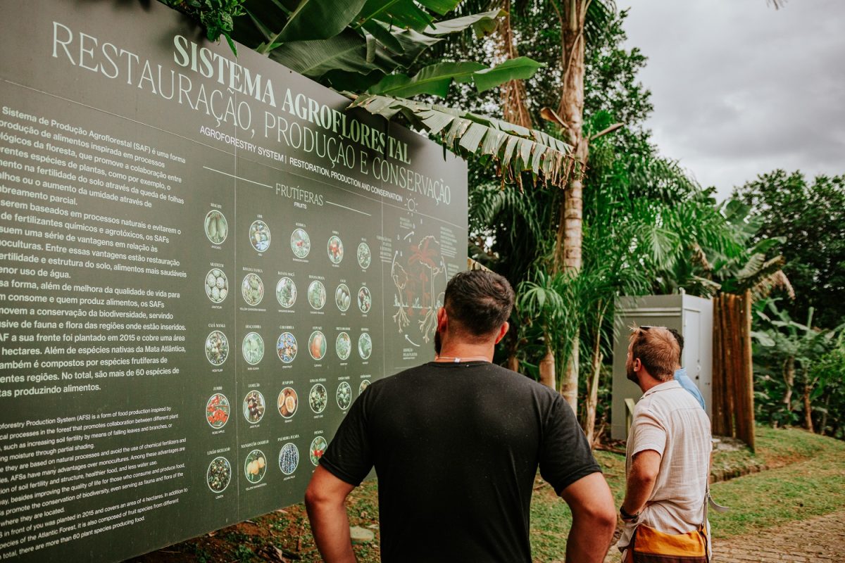 Um combinação entre passado e presente proporciona aos visitantes uma experiência que combina atrações em meio à natureza com muito aprendizado e diversão - Foto: Divulgação