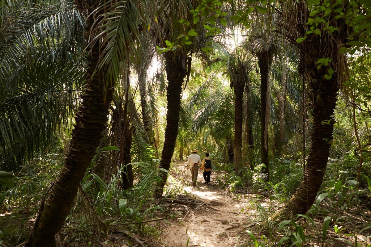 Trilha dentro da Caiman Pantanal. As caminhadas permitem a observação de pequenos animais e vegetação da região - Foto: Layla Motta