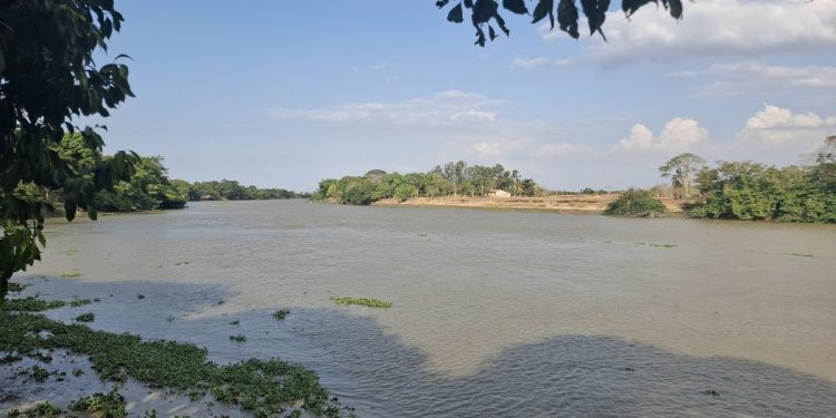 A bacia hidrográfica do rio Mearim é a maior do Estado com 99.058,68 km², equivalente a 29,84% da área total do território maranhense, abrangendo 83 municípios. - Foto: Gutemberg Bogéa