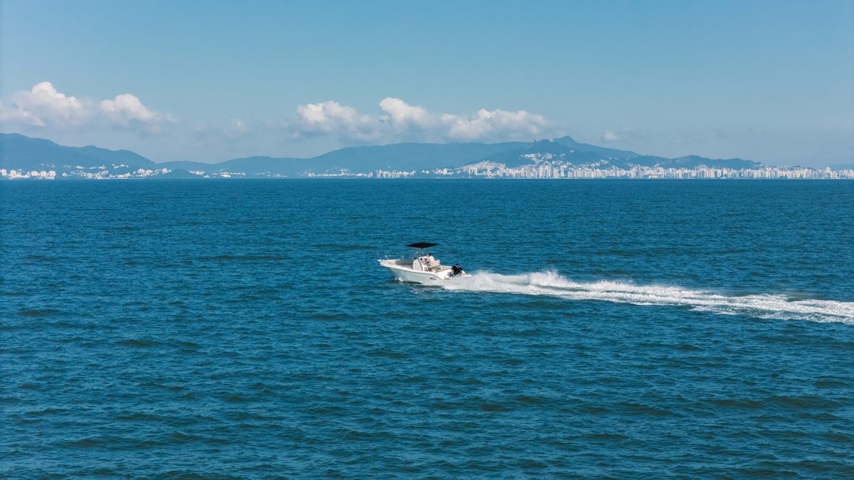 Com forte presença em diversos países, a pesca esportiva, o turismo e a economia - Foto: Divulgação