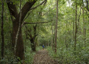 No município de Augusto Corrêa, experiências imersivas aguardam visitantes - Foto: João Ramid