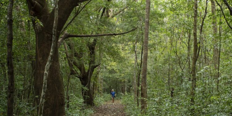 No município de Augusto Corrêa, experiências imersivas aguardam visitantes - Foto: João Ramid